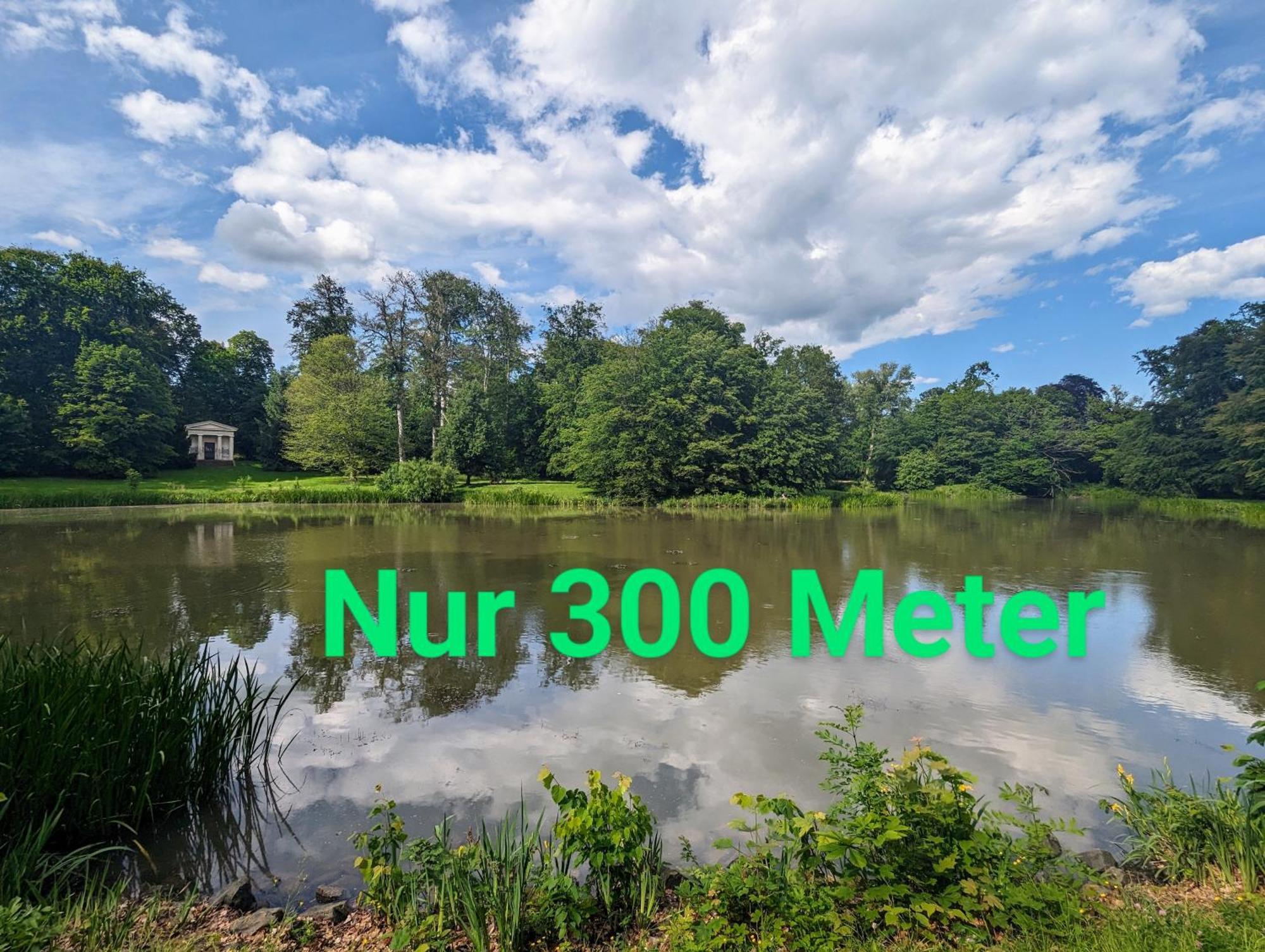 Fewo Urban Gotha-Apartment Ekhof- Am Schlosspark- Parken An Der Der Tuer- Barrierefrei, 900 Meter Zum Bahnhof - Wallbox Exteriör bild